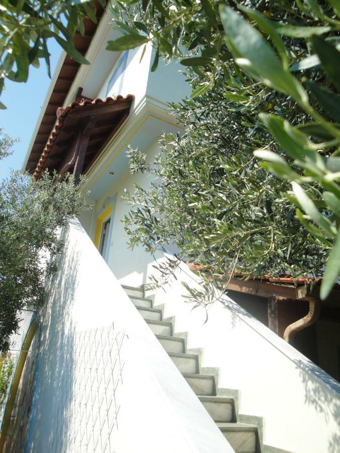 Villa Di Costa Nea Skioni Exteriér fotografie